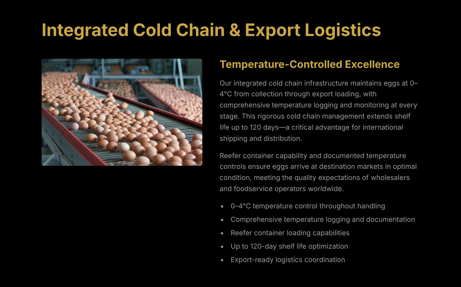 Cold Chain Logistics