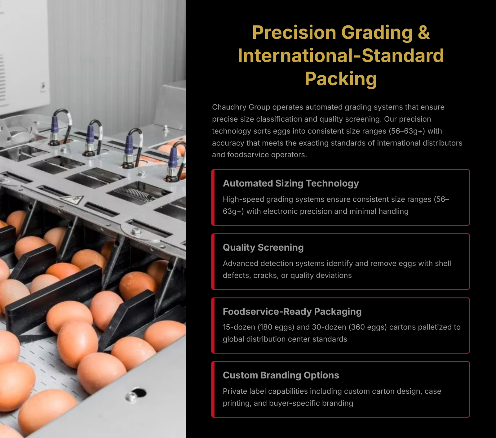Automated Grading