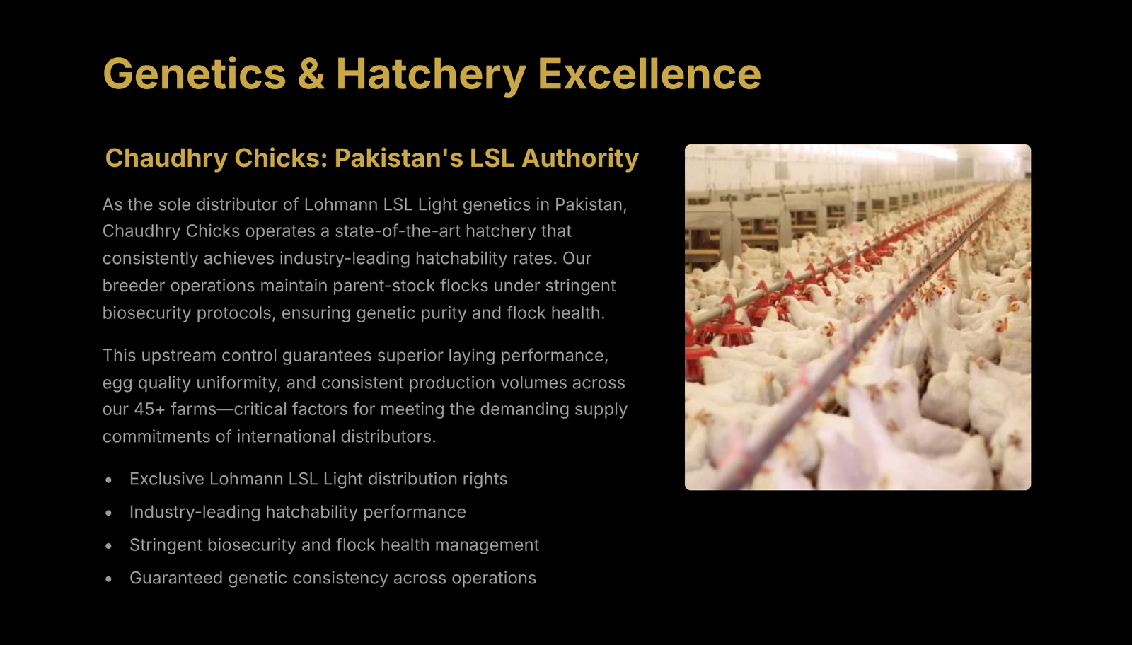 Chaudhry Chicks Hatchery