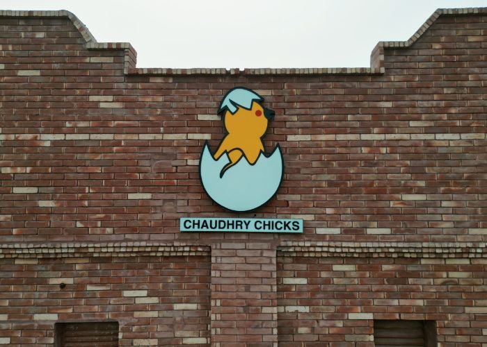 Chaudhry Hatchery