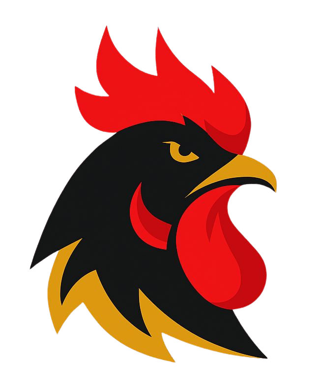 chaudhry group logo